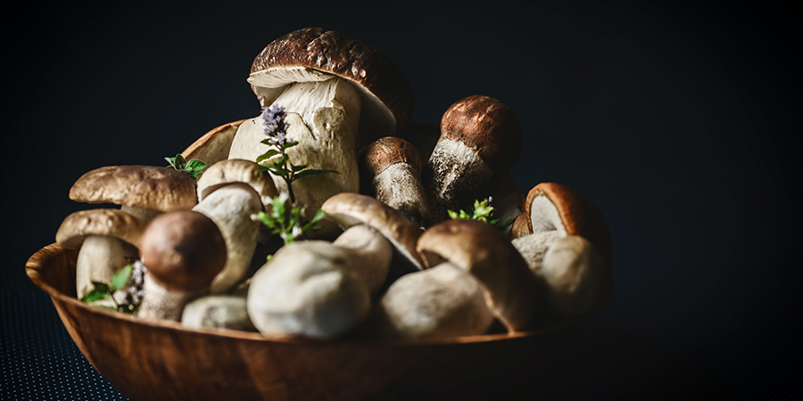 Рецепты с грибам